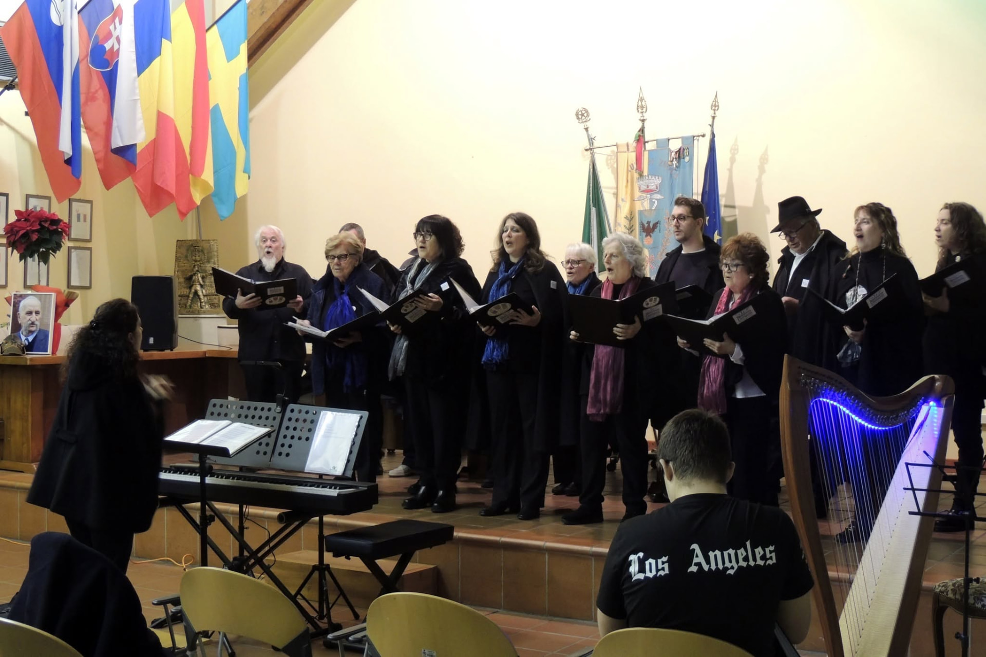 Concerto al coperto con le bandiere internazionali e l'arpa illuminata