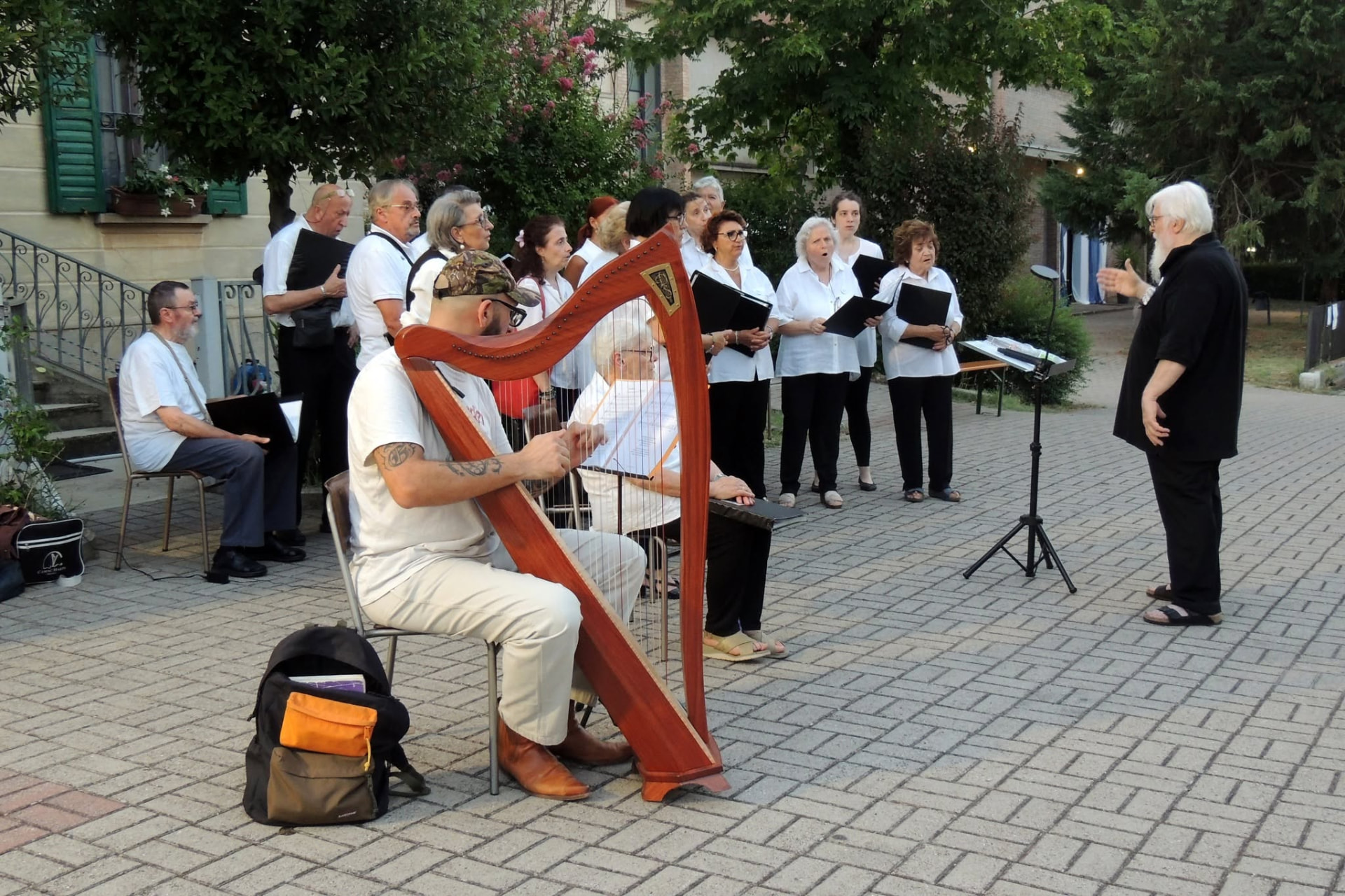 L'arpista suona durante un concerto nella piazza del paese